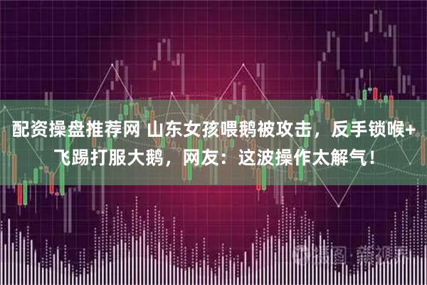 配资操盘推荐网 山东女孩喂鹅被攻击，反手锁喉+飞踢打服大鹅，网友：这波操作太解气！