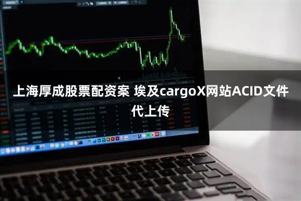 上海厚成股票配资案 埃及cargoX网站ACID文件代上传